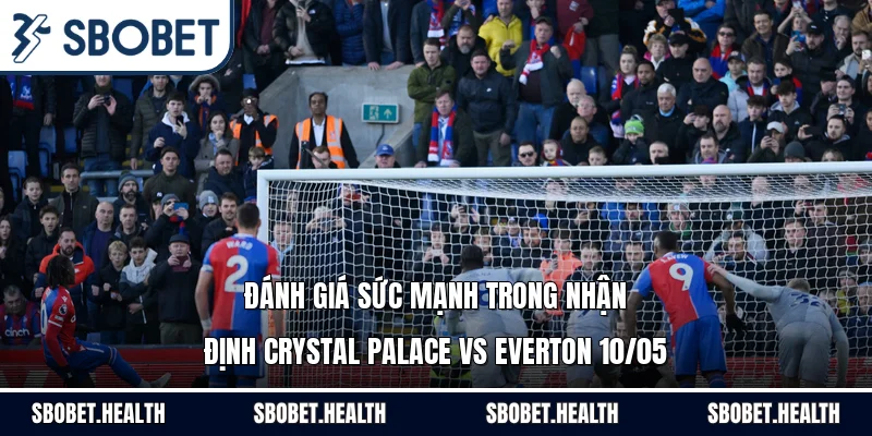 Đánh giá sức mạnh trong nhận định Crystal Palace vs Everton 10/05
